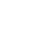 Hotel Meridian Palace - Hyderabad